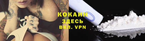 шишки Козловка