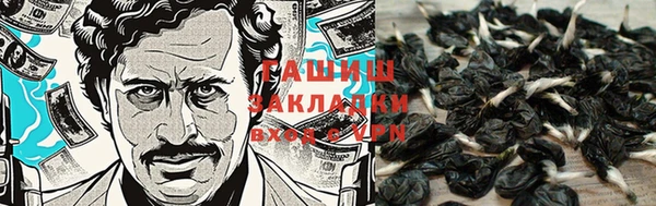 сатива Киреевск