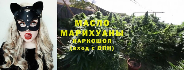 сатива Киреевск