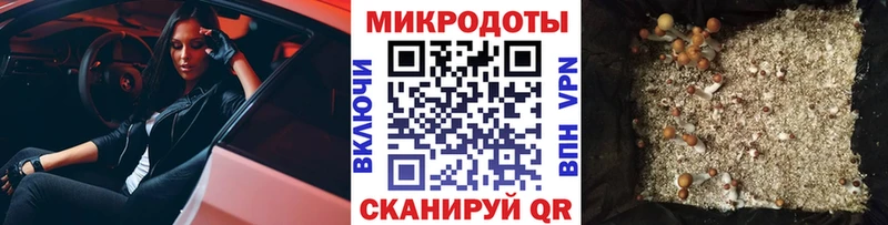 Купить закладки  Углегорск  Галлюциногенные грибы прущие грибы 